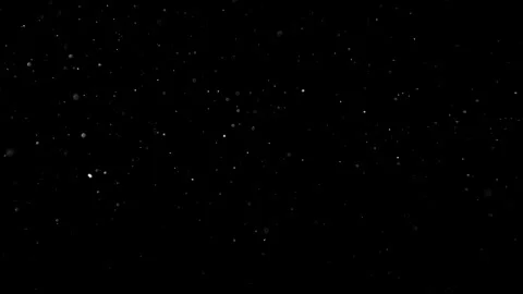 Natural Dust Particles Float On Black Background. Dust In Motion. Stock Footage 305955705