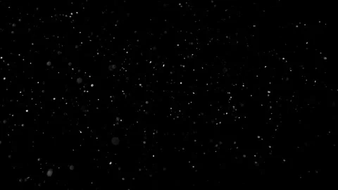 Natural Dust Particles Float On Black Background. Dust In Motion. Stock Footage 305955718