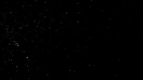 Natural Dust Particles Float On Black Background. Dust In Motion. Stock Footage 305955731