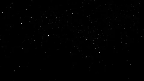 Natural Dust Particles Float On Black Background. Dust In Motion. Stock Footage 305955734