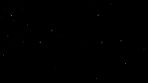 Natural Dust Particles Float On Black Background. Dust In Motion. Stock Footage 305955742