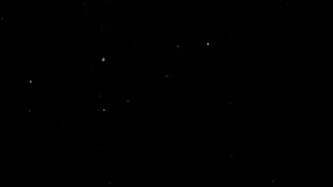 Natural Dust Particles Float On Black Background. Dust In Motion. Stock Footage 305955744