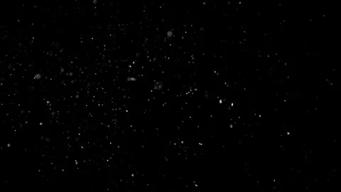 Natural Dust Particles Float On Black Background. Dust In Motion. Stock Footage 305955757