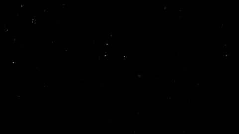 Natural Dust Particles Float On Black Background. Dust In Motion. Stock Footage 305955758