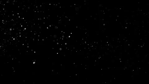 Natural Dust Particles Float On Black Background. Dust In Motion. Stock Footage 305955765