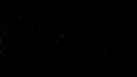Natural Dust Particles Float On Black Background. Dust In Motion. Stock Footage 305955768