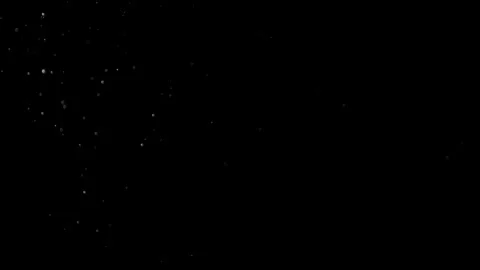 Natural Dust Particles Float On Black Background. Dust In Motion. Stock Footage 305955800