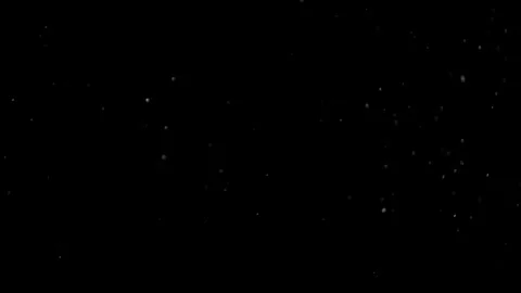 Natural Dust Particles Float On Black Background. Dust In Motion. Stock Footage 305955801