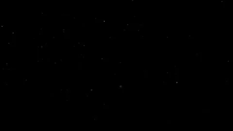 Natural Dust Particles Float On Black Background. Dust In Motion. Stock Footage 305955817