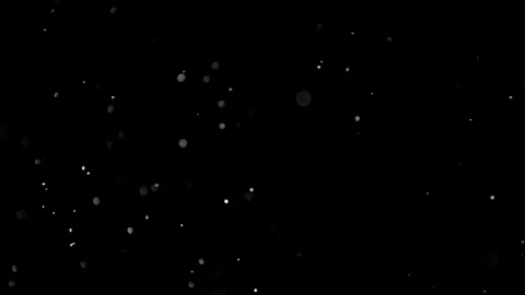 Natural Dust Particles Float On Black Background. Dust In Motion. Stock Footage 305956257