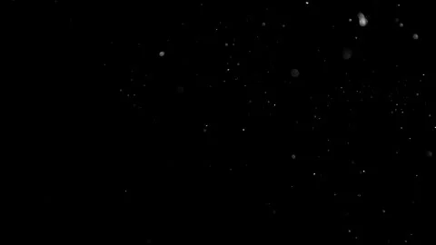 Natural Dust Particles Float On Black Background. Dust In Motion. Stock Footage 305956276