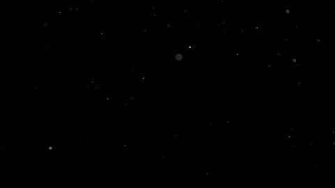 Natural Dust Particles Float On Black Background. Dust In Motion. Stock Footage 305956316