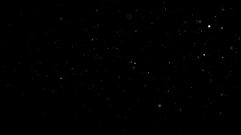 Natural Dust Particles Float On Black Background. Dust In Motion. Stock Footage 305956323