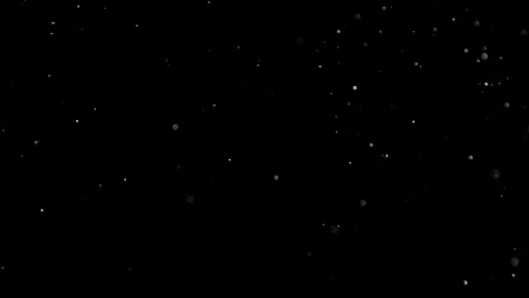Natural Dust Particles Float On Black Background. Dust In Motion. Stock Footage 305956331