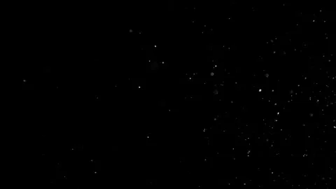 Natural Dust Particles Float On Black Background. Dust In Motion. Stock Footage 305956344
