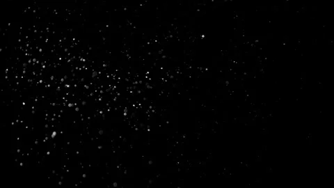 Natural Dust Particles Float On Black Background. Dust In Motion. Stock Footage 305956350