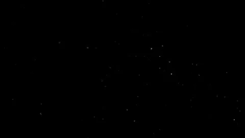 Natural Dust Particles Float On Black Background. Dust In Motion. Stock Footage 305956366