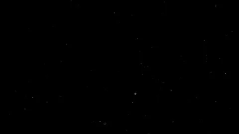 Natural Dust Particles Float On Black Background. Dust In Motion. Stock Footage 305956369