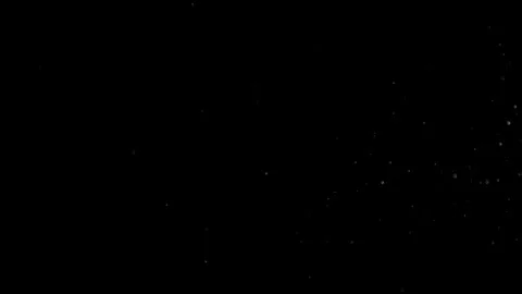 Natural Dust Particles Float On Black Background. Dust In Motion. Stock Footage 305956371