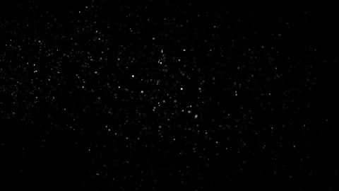 Natural Dust Particles Float On Black Background. Dust In Motion. Stock Footage 305956390