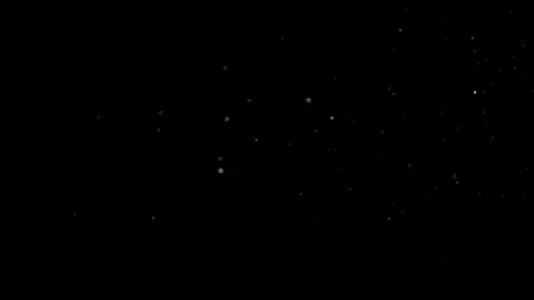 Natural Dust Particles Float On Black Background. Dust In Motion. Stock Footage 305956392