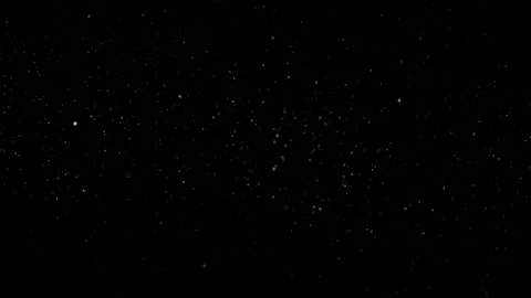 Natural Dust Particles Float On Black Background. Dust In Motion. Stock Footage 305956394