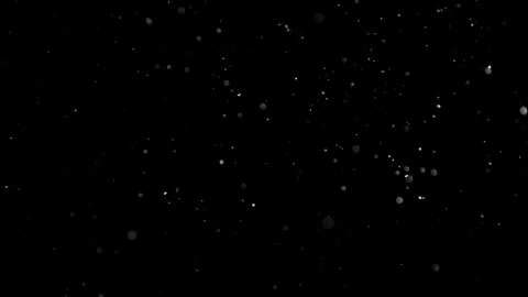 Natural Dust Particles Float On Black Background. Dust In Motion. 스톡 동영상 305956395