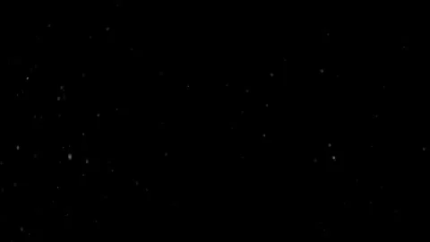 Natural Dust Particles Float On Black Background. Dust In Motion. Stock Footage 305956398