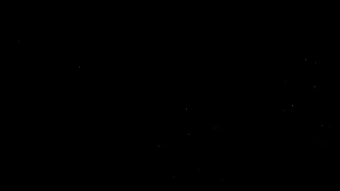 Natural Dust Particles Float On Black Background. Dust In Motion. Stock Footage 305956406