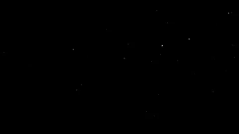 Natural Dust Particles Float On Black Background. Dust In Motion. 스톡 동영상 305956407