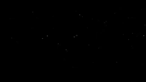 Natural Dust Particles Float On Black Background. Dust In Motion. Stock Footage 305956409