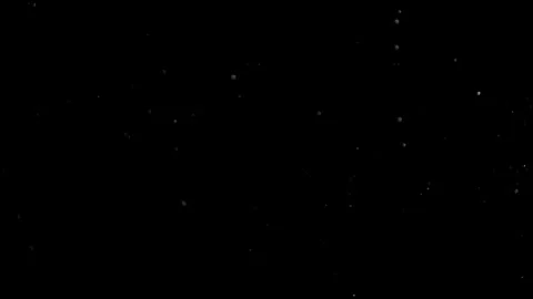 Natural Dust Particles Float On Black Background. Dust In Motion. Stock Footage 305956414