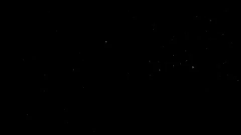 Natural Dust Particles Float On Black Background. Dust In Motion. Stock Footage 305956419