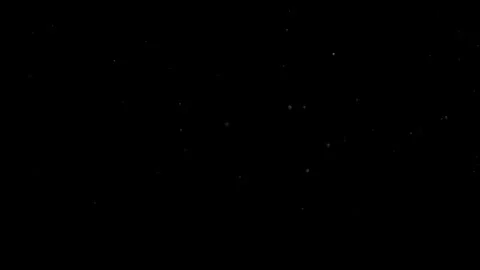 Natural Dust Particles Float On Black Background. Dust In Motion. Stock Footage 305956433