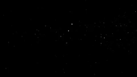 Natural Dust Particles Float On Black Background. Dust In Motion. Stock Footage 305956450