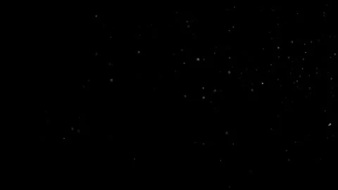 Natural Dust Particles Float On Black Background. Dust In Motion. Stock Footage 305956453