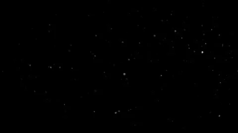 Natural Dust Particles Float On Black Background. Dust In Motion. Stock Footage 305956456