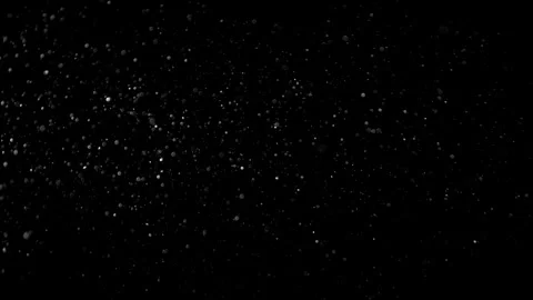 Natural Dust Particles Float On Black Background. Dust In Motion. Stock Footage 305956466