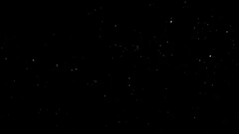 Natural Dust Particles Float On Black Background. Dust In Motion. Stock Footage 305956468