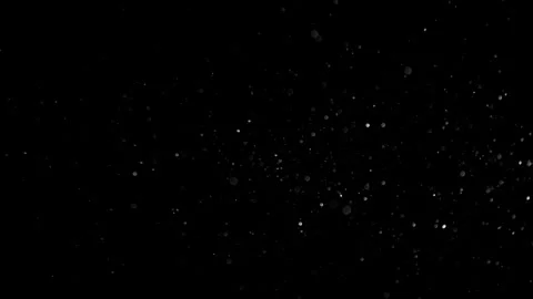 Natural Dust Particles Float On Black Background. Dust In Motion. Stock Footage 305956502
