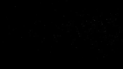 Natural Dust Particles Float On Black Background. Dust In Motion. Stock Footage 305956518