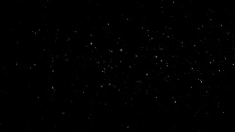 Natural Dust Particles Float On Black Background. Dust In Motion. Stock Footage 305956520