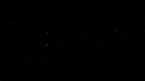Natural Dust Particles Float On Black Background. Dust In Motion. Stock Footage 305956536
