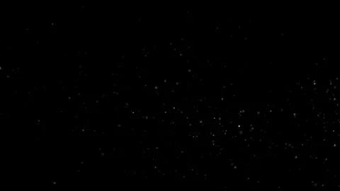 Natural Dust Particles Float On Black Background. Dust In Motion. Stock Footage 305956538