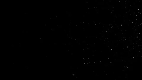 Natural Dust Particles Float On Black Background. Dust In Motion. Stock Footage 305956587