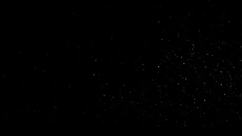 Natural Dust Particles Float On Black Background. Dust In Motion. Stock Footage 305956630