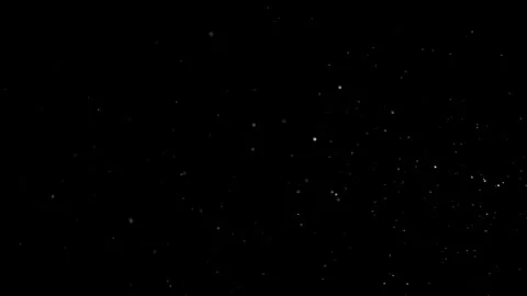 Natural Dust Particles Float On Black Background. Dust In Motion. Stock Footage 305956632