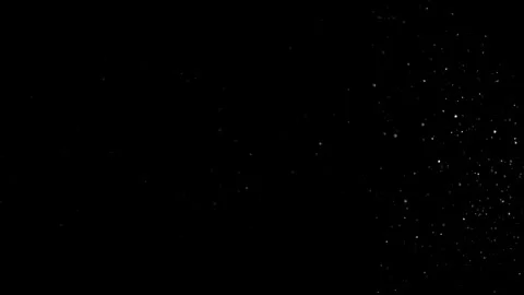 Natural Dust Particles Float On Black Background. Dust In Motion. Stock Footage 305956643