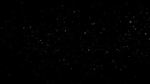 Natural Dust Particles Float On Black Background. Dust In Motion. Stock Footage 305956997