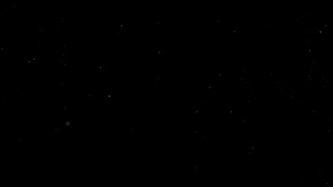 Natural Dust Particles Float On Black Background. Dust In Motion. Stock Footage 316190858